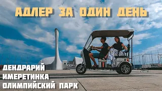 АДЛЕР за 1 ДЕНЬ: щупаем бамбук, дрифтуем на гольф-каре в Олимпийском парке и бродим по Имеретинке