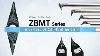 ZBMT 25° Insert Profiling Tools