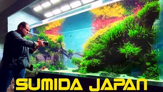 World's Best Planted Aquariums - Takashi Amano's Aquascapes