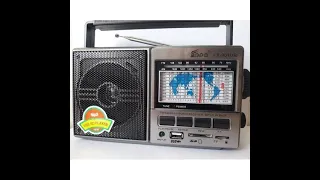 RADIO Rechargeable Bluetooth & Lecteur et MICRO SD - FM AM SW FP-901BT