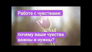 Работа с чувствами,  почему чувства нужны и важны