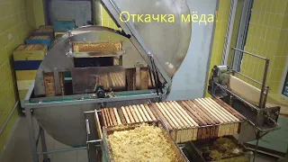 Откачка мёда. Совершенству нет предела!