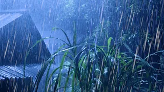 Beat Stress & Goodbye Insomnia in 3 Minutes with Heavy Rain,Thunder Sounds on a Tin Roof at Night #1