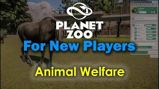 Planet Zoo For New Players - Animal Welfare