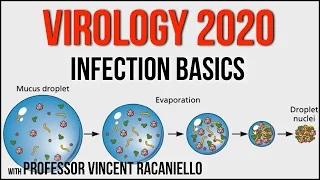 Virology Lectures 2020 #12: Infection Basics