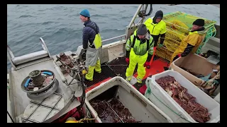 Awesome king crab fishing in Norway.🦀