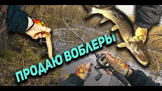 Продаю воблеры, рулят колебалки, а джиг риг ловит щук за спину! Утопил часы!