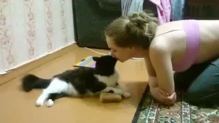 Кошка любит целоваться