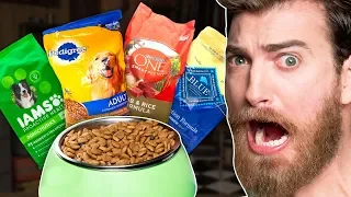 What's The Best Dog Food? Taste Test