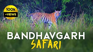 EP 01 - Magadhi Zone Safari - Bandhavgarh Tiger Reserve - 4K Video