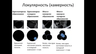 Современные подходы к классификации опухолей малого таза у женщин в ультразвуковой диагностике