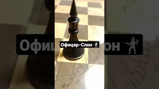 Для тех кто не знает как называются фигуры♟️💙#обучение #шахматы #фигуры шахмат