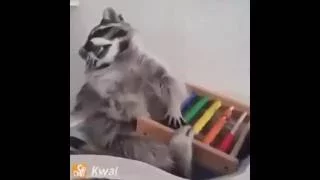 Raccoon Plays with Colorful Abacus