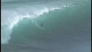 Surfers Ride Over Great White Shark