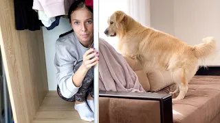 Hiding my wife from the Golden Retriever