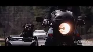 Riding for Vets with his Dog Hercules (Sit Stay Ride movie clip)