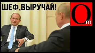 Путин простит Украину, если Зеленського заменит Медведчук