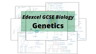 The WHOLE of Edexcel GCSE Biology GENETICS