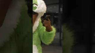 ROBBED BY FURRIES!?