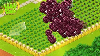 Hay Day Gameplay | Level 203 💜