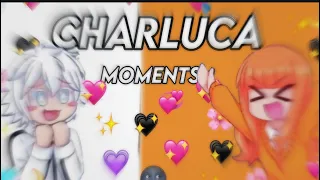 Charluca moments that almost made me tear up of cuteness || itzslilyfrost