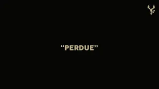 Yseult - PERDUE (Lyric Video)