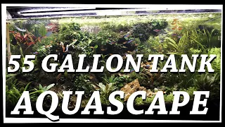 55 Gallon Aquascape FULL SETUP