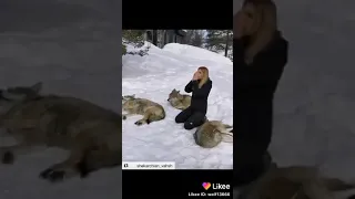 девушка воет с волками