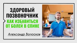 Александр Волосков ☀️ Здоровый позвоночник. Как избавиться от болей в спине.