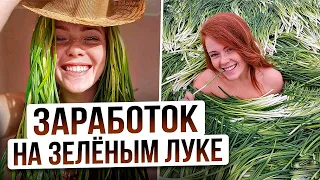 БИЗНЕС НА ЗЕЛЕНОМ ЛУКЕ | Выращивание лука на перо