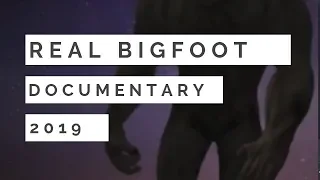 Real Bigfoot Documentary 🙉  Fly Over Country Sasquatch