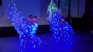 Птицы небесные. новый номер Les Ballerines show!!! Led