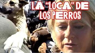 ¡La "loca" de los perros tiene 400 abandonados!