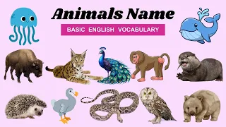 Learn Animal Name in English - Animal Name for Kids - Type of Animals Animals Name with Moko Loko Tv