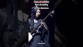 Shredding On Traditional Instrument 👀 WAGAKKI🇯🇵 #wagakkiband #wagakki #folkmetal #shorts