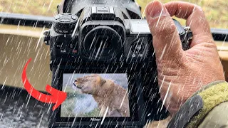 How a wildlife encounter almost destroyed my camera