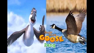 Duck Duck Goose in Real Life - All Characters 2018 - OMG Kids