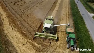 Pszenżyto ozime 2023 pole 4 ( john deere 6310, fortschritt e517)