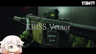 KRISS Vector 晴らすべく戦います。【ONE実況】【タルコフ】【EFT】