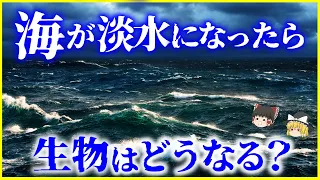 【ゆっくり解説】蚊が大量に…⁉もしも世界の海が「淡水」になったら生物はどうなる？を解説/海水魚と淡水魚の違いとは