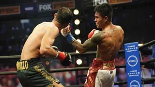 Mark Magsayo vs. Julio Ceja - K.O Ceja  Highlights - Boxing