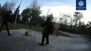 В Одессе полицейские подразделения применили оружие против собаки бойцовской породы