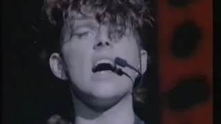 Thompson Twins - Hold me now - No peace for the wicked (Live) - 1984