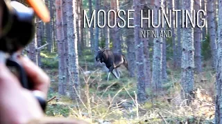 NH: Moose Hunting | 2018