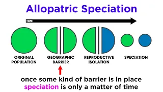 Types of Speciation: Allopatric, Sympatric, Peripatric, and Parapatric