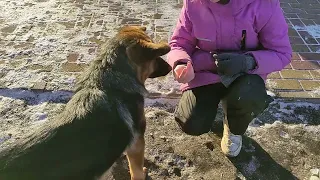 Расхламление.  Герда. Планы в козоводстве.