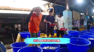 Adu Skill Mensortir Ikan | SKILL GOKIL (18/02/24) Part 2