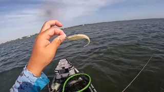 Inshore Fishing Tip! Kayak Fishing!