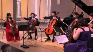 Allegro Appassionato Op 43, Saint Saëns - Javier Martínez Campos, Classe d´Excellence Louis Vuitton