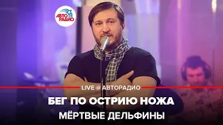 Мёртвые дельфины - Бег По Острию Ножа (LIVE@ Авторадио)